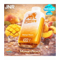 Mango Peach - JNR 50K Lion King