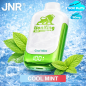Cool Mint - JNR 50K Lion King Cool Mint - JNR 50K Lion King