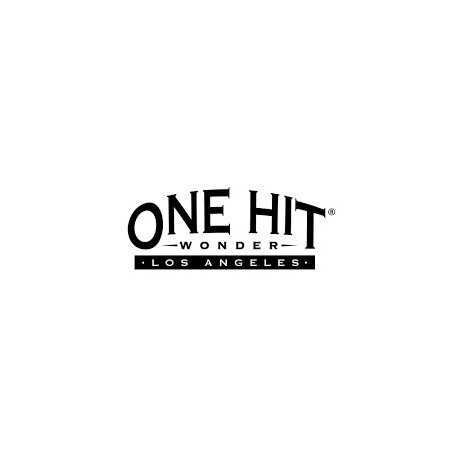 One Hit Wonder